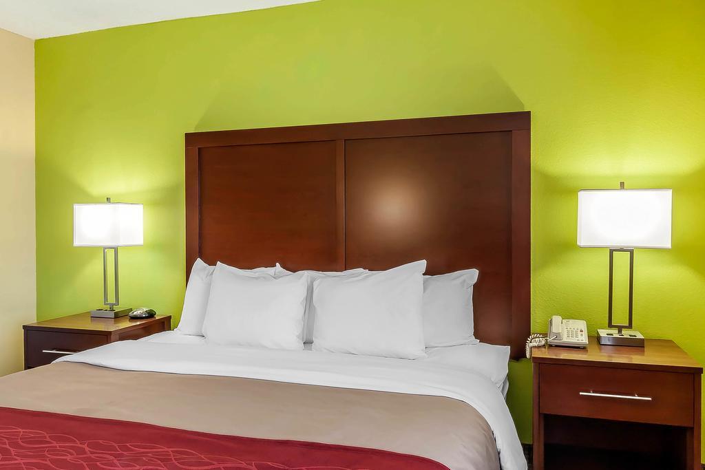 Comfort Inn St Petersburg North St. Petersburg Eksteriør bilde
