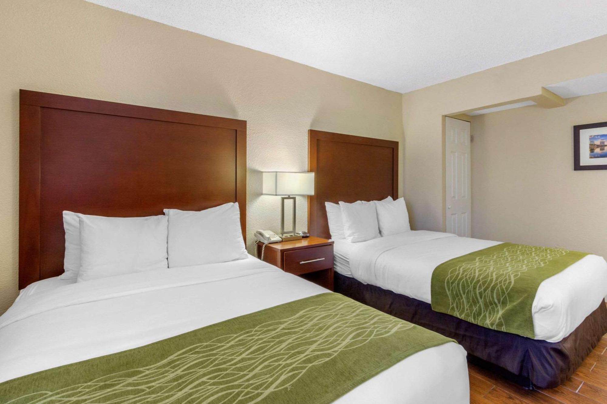Comfort Inn St Petersburg North St. Petersburg Eksteriør bilde