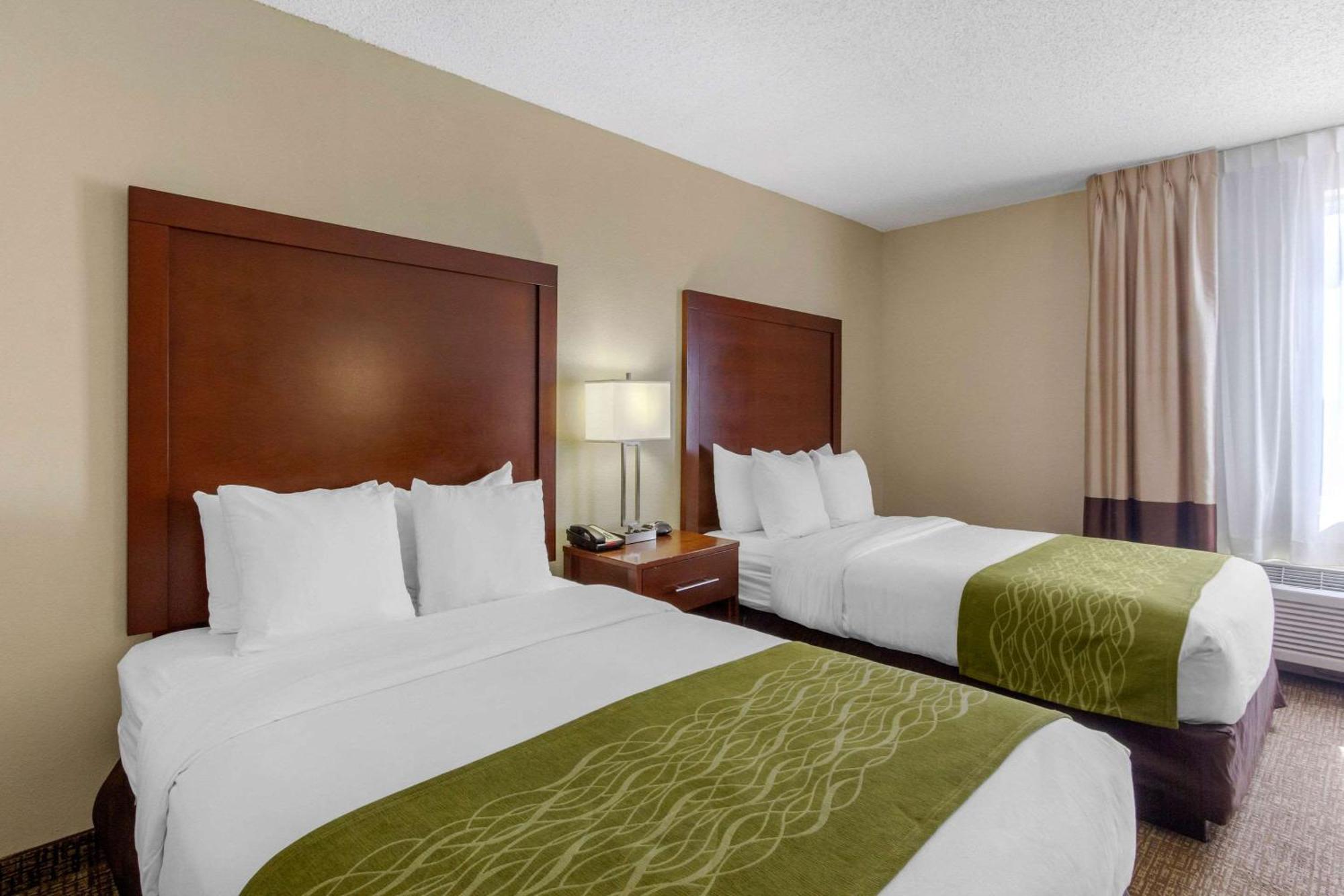 Comfort Inn St Petersburg North St. Petersburg Eksteriør bilde
