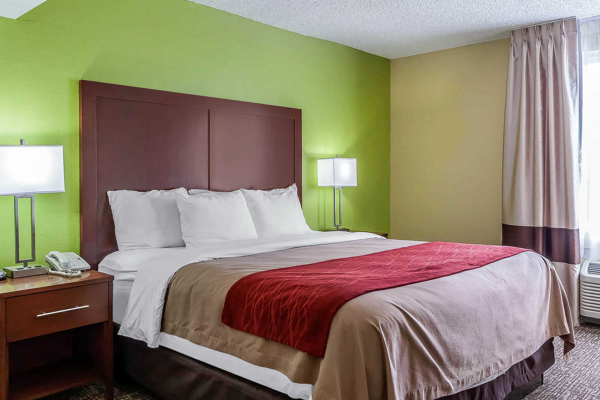 Comfort Inn St Petersburg North St. Petersburg Rom bilde
